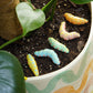 Ceramic Caterpillar Plant Pals